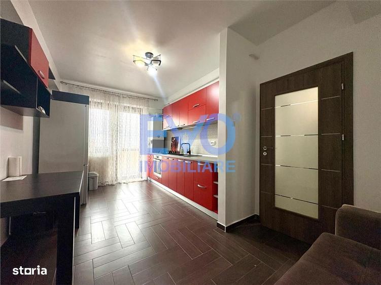 Apartament de inchiriat cu 1 camera, etaj intermediat, Visoianu, Iasi - 8