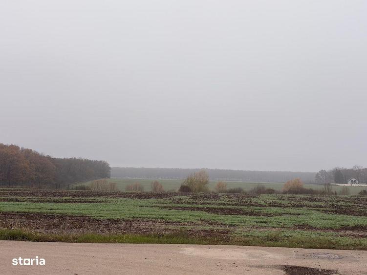 Vila Individuala Noua P+1 | 4 Camere | 141 mp utili | Teren 350 mp | - 11