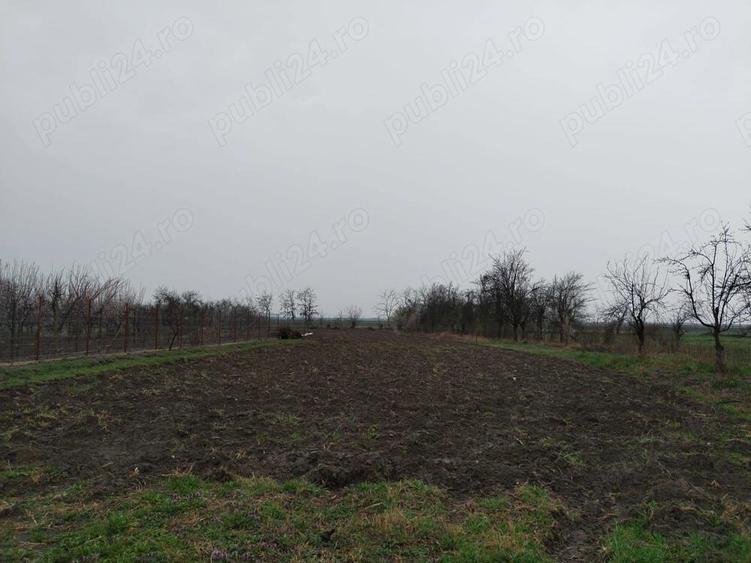 casa de vanzare - 11