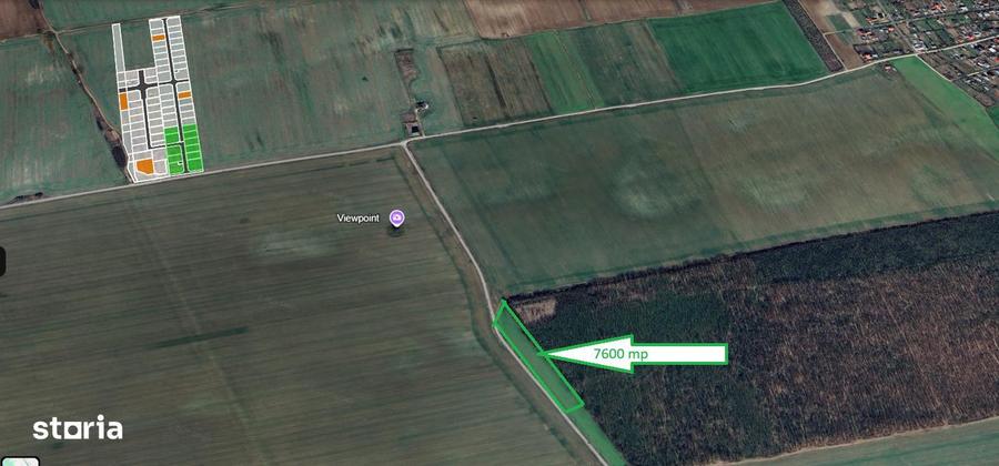 Teren pozitie superba, lipit de padure, intravilan, zona Frumusani. - 2