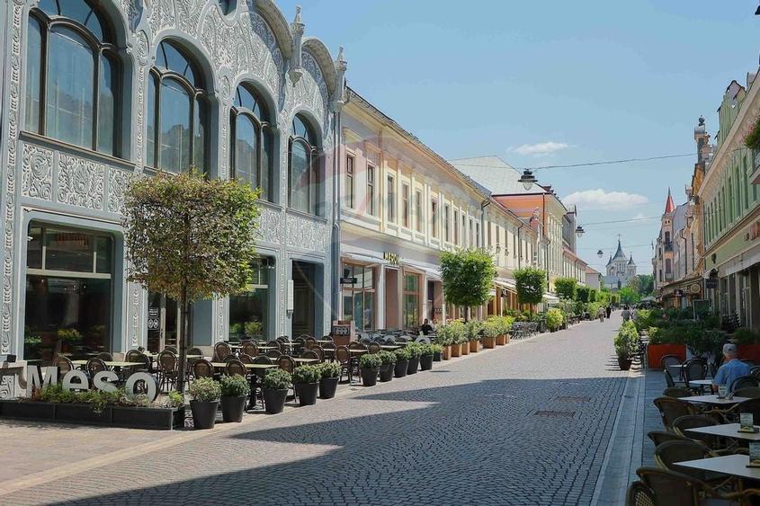 De vanzare -- Spatiu comercial parter 409 mp, Vasile Alecsandri - 36