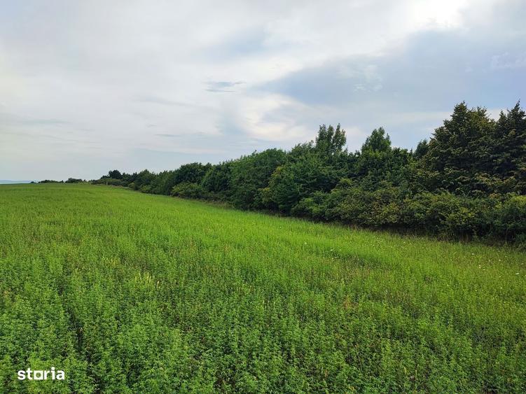 Teren 1050 mp Dealul Fanatelor/ investitie - 2