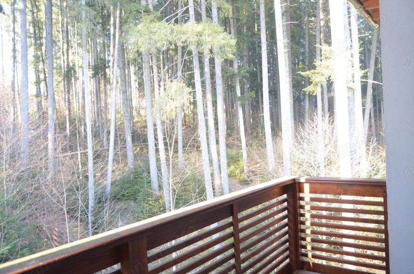 Garsoniera speciala situata in Predeal,Partia Clabucet . - 6