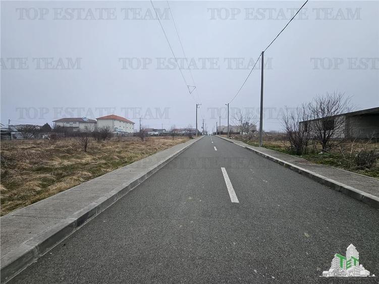 TEREN INTRAVILAN 1000 MP COSTINESTI - 6
