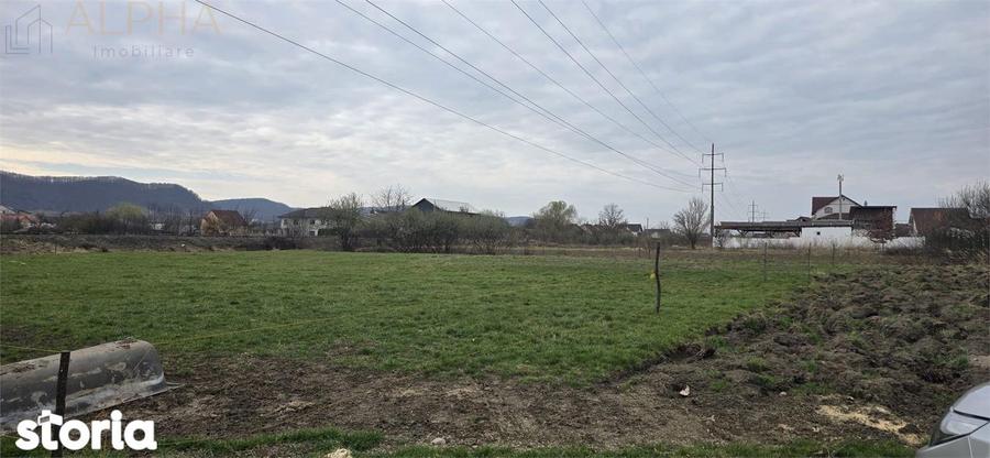 Teren intravilan 2500 mp - Unirea, Str. Platanilor - 2