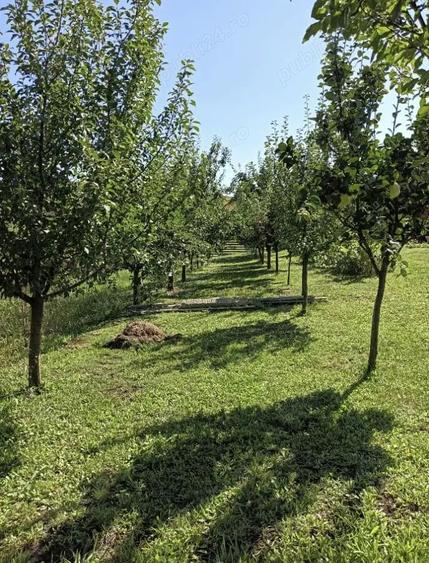 Casa de vacan?a in Ludu? (zona Candarai) loca?ie excelenta intre Cluj-Napoca ?i Targu-Mure? - 6