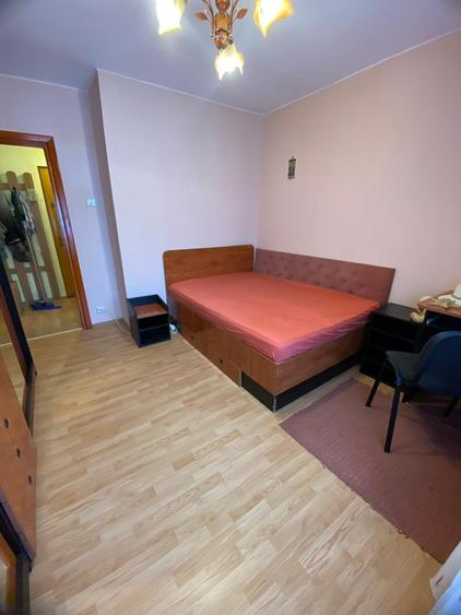 2 decomandate BUCATARIE MARE, centrala, termopan, mobilat, G Bacovia - 4