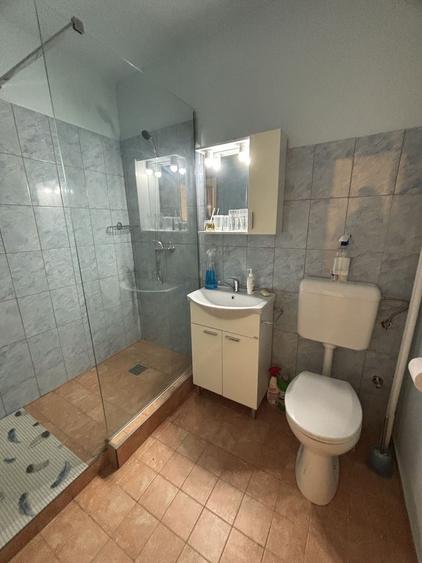 Apartament 1 camera la 10 minute de Iulius Mall - 9