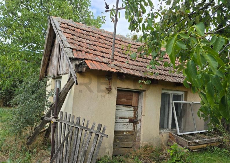 RECO IMOBILIARE CASA BATRANEASCA TINCA - 12