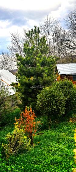 Casa Breaza 116Mp , teren 2500Mp ,zona de deal superba - 5