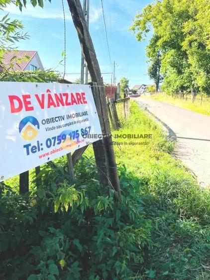 TEREN intravilan 2510 mp BORLE?TI - ?OVOAIA - 9