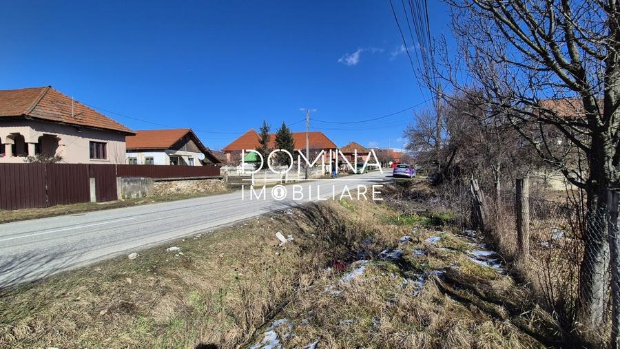 Oportunitate teren 6.504 mp – Curtisoara, la 11 km distanta de Targu Jiu - 4