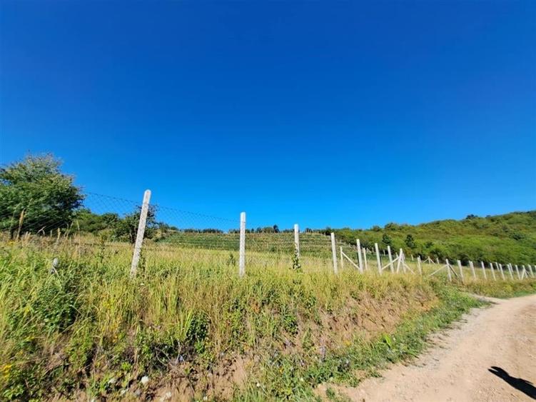 RECO teren intravilan Podgoria - 1