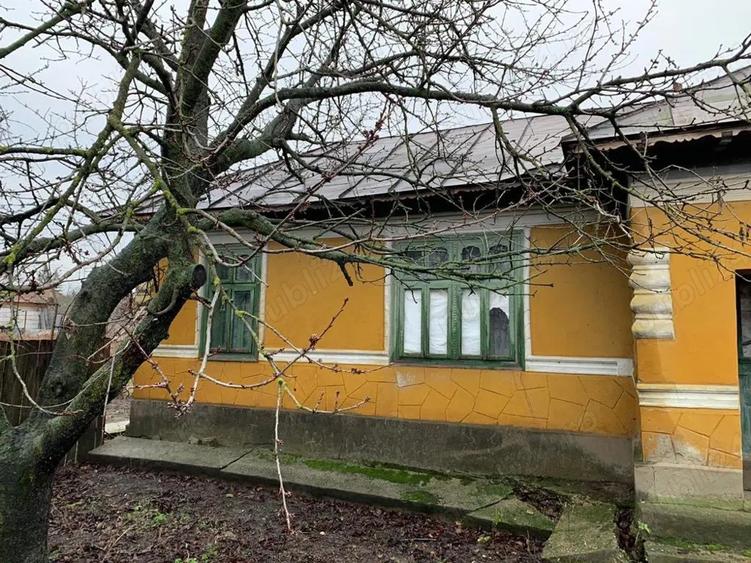 Casa 5 camere, teren 1800 mp, Malu Rosu IL, 10 km de Urziceni - 4