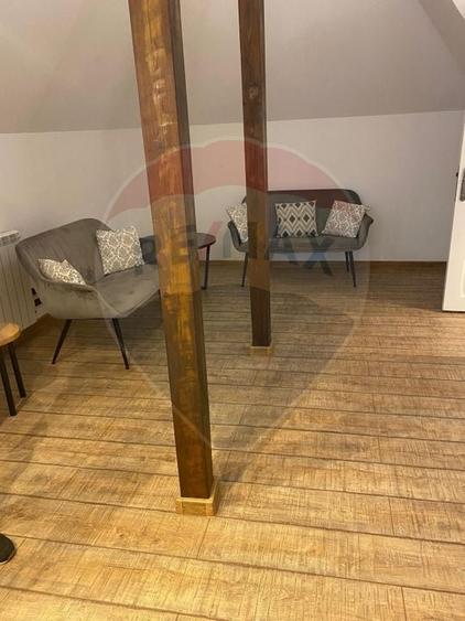 Vila de închiriat–Calea Moșilor /133 mp utili+60 Curte proprie - 28