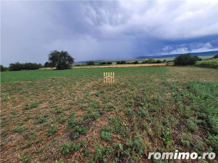 Casa Orheienilor! - 9