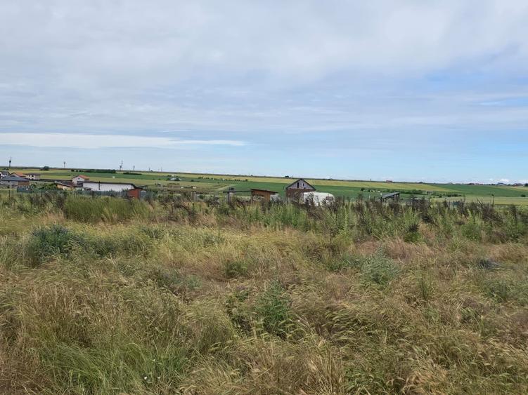 Teren Construcții intravilan de 5000 mp, în Lazu