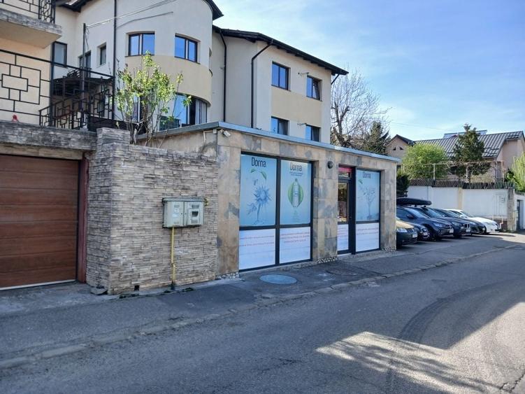 Spatiu comercial ideal pentru investitie - 1