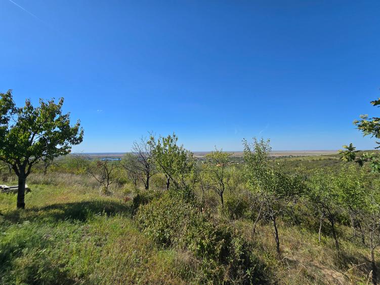 Teren extravilan de 8472 mp, în Ghioroc