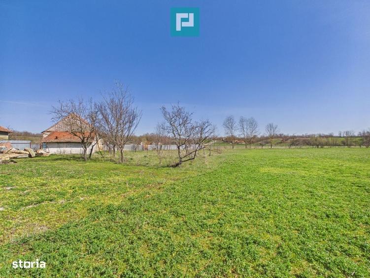 Casa cu teren de 6000 mp in Duboz, Timis - 12