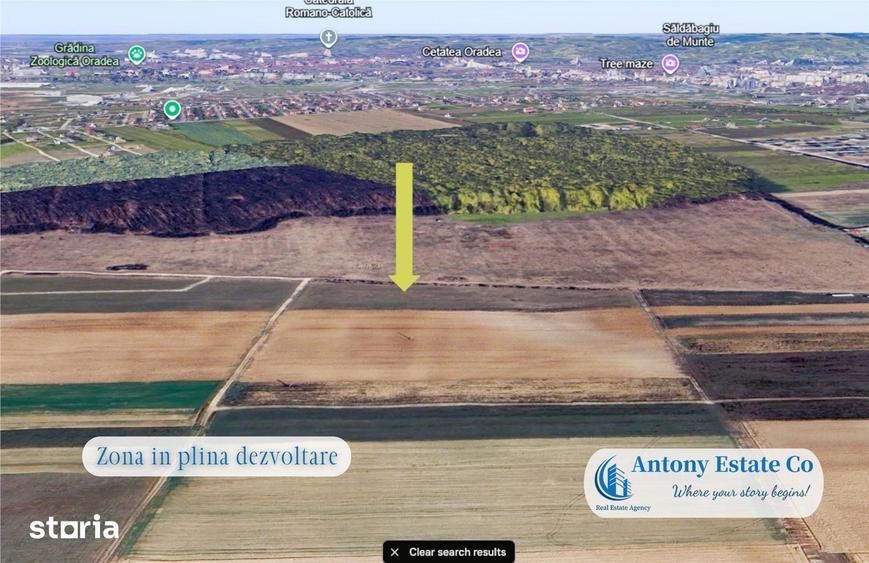 Antony Estate | Oportunitate de investitie - Teren Cihei, langa Padure - 4