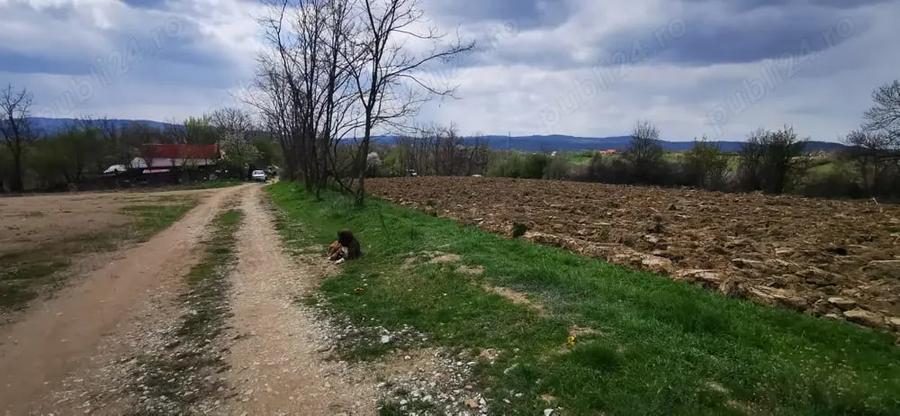 Teren de 26500 mp, în Calea Caransebeșului