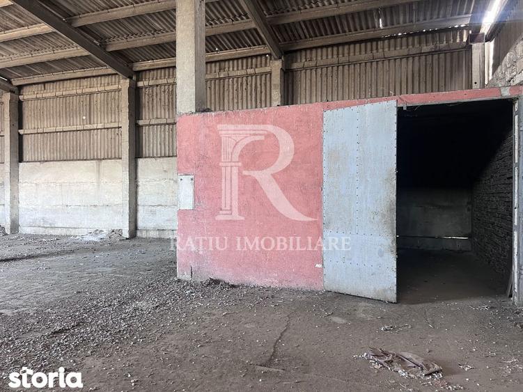 PLATFORMA INDUSTRIALA STRATEGICA IN ORADEA POTEN?IAL OPERATIONAL - 19