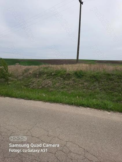 Teren de 5000 mp, în Pielești