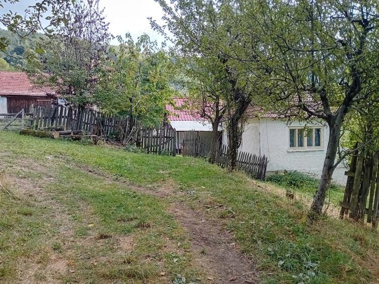 Teren de 50 mp, în Central