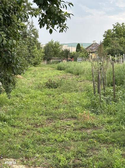 Casă cu 3 camere în Târnăveni