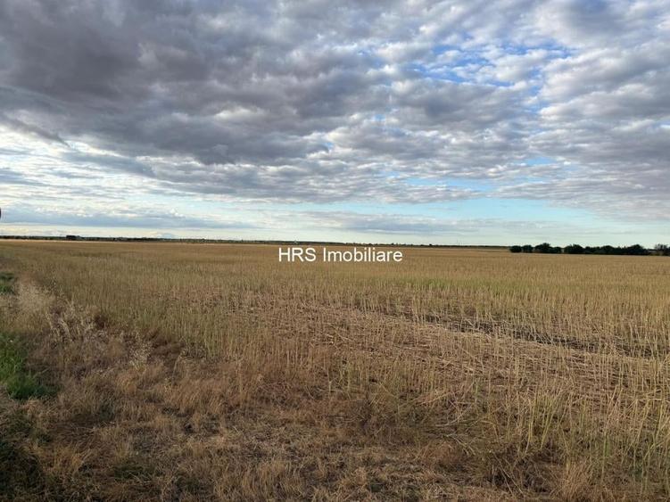 Teren intravilan Branesti - 3