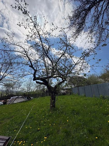Casa de vanzare Seciuri, Prahova, acte la zi, disponibila imediat - 5