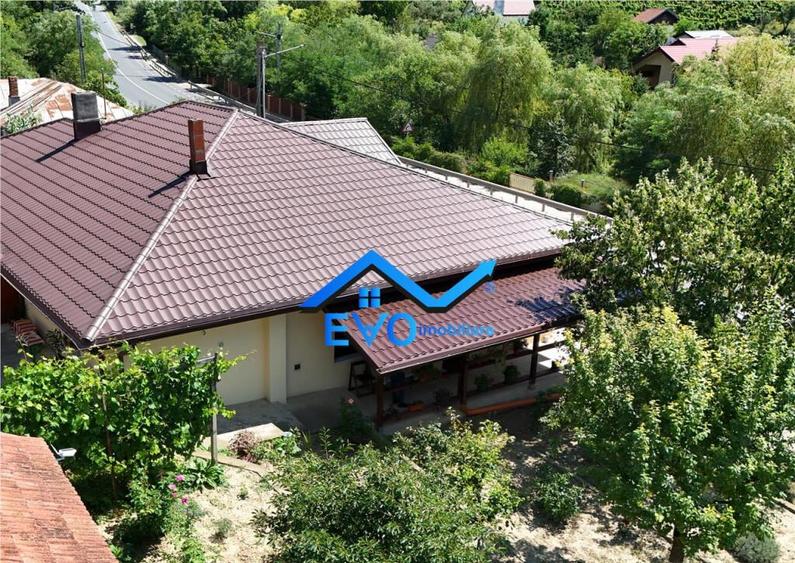 Casa de Uricani, Miroslava, Iasi - 0 Comision, 1000 mp Tere - 3