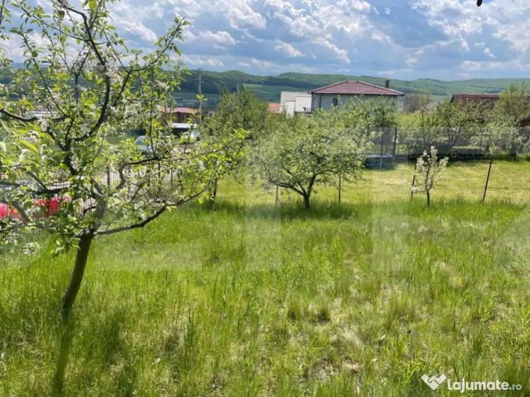 Investitie ! Teren intravilan,494 mp, front 14 m,cart Dambu - 1