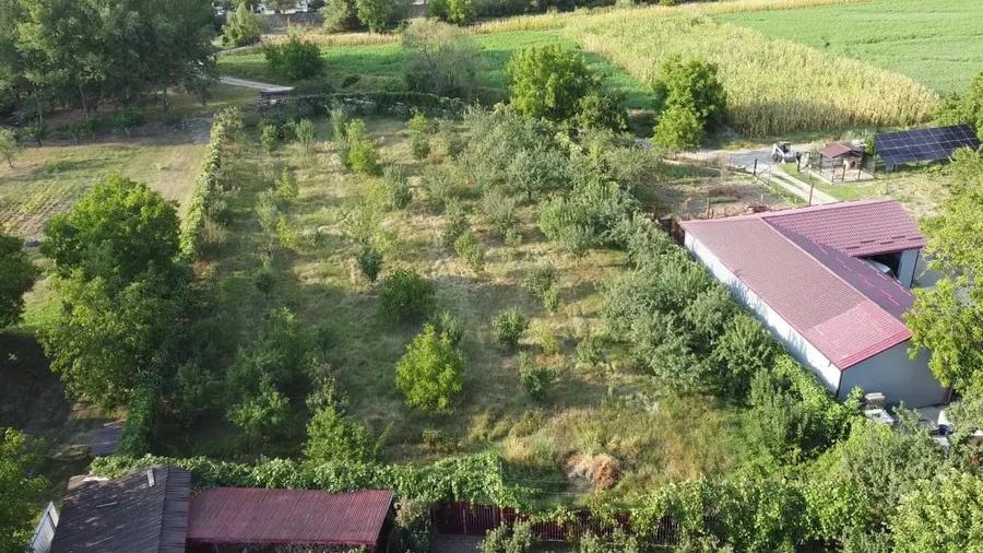 Vila superba 400 m2 cu 5000m2 teren Roznov - 10