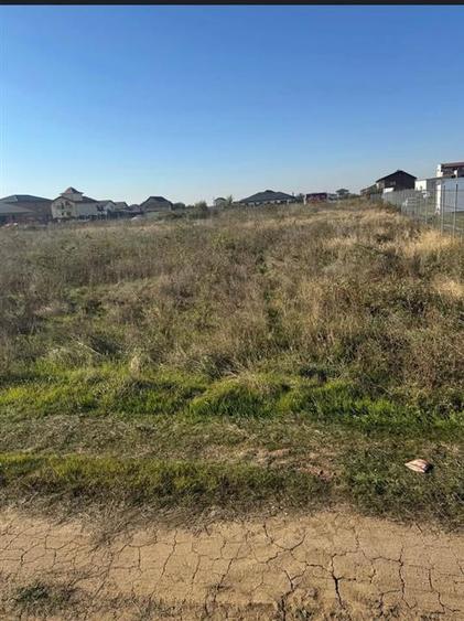 Teren 2 loturi de vanzare Magurele limita cu sectorul 5,90 euro mp - 3