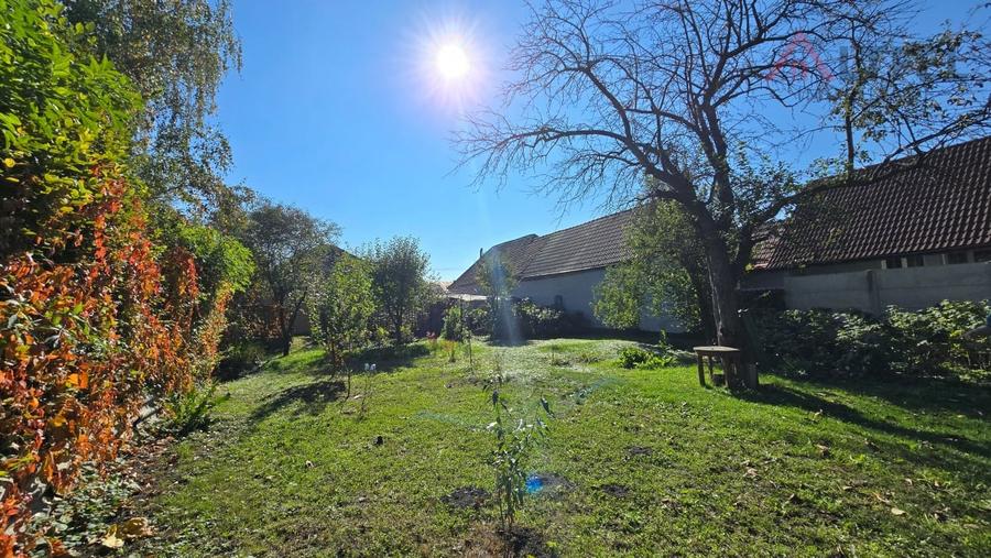 COMISION 0! Casa individuala cu 925 mp teren de vanzare in Piata Cluj - 3