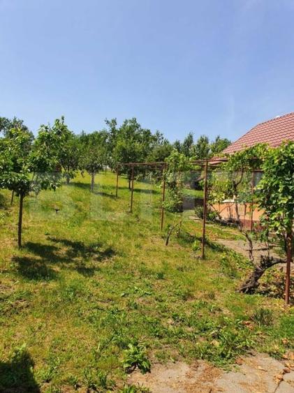 Proprietate traditionala cu 2040 mp teren - 8