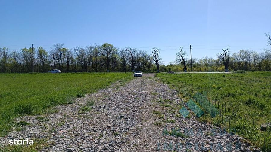 Terenuri Intravilane Industriale - 1.000 mp - Sos. Oltenitei DN 4 / A0 - 4