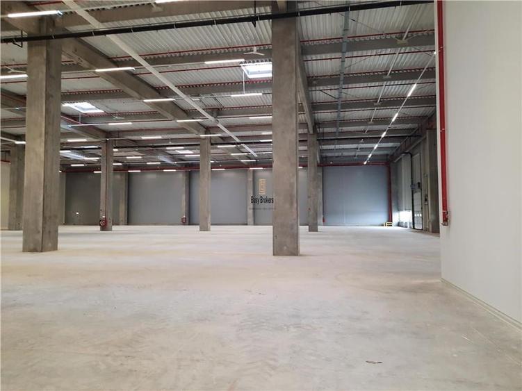 Spatiu Industrial - 2500 mp - Logistica - Productie - Depozitare - Distributie - 7