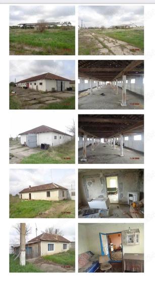 Inchiriez hale 7000 mp si teren intravilan 70000 mp - 2