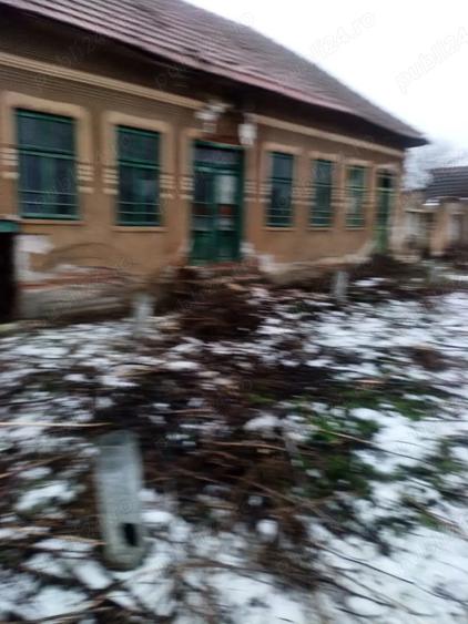 Vand casa goicea mare dolj 1950 mp - 1