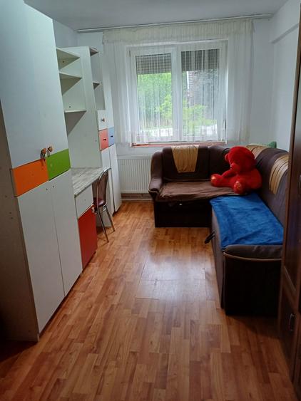 Vanzare apartament 2 camere ,Chisineu-Cris Arad,centru - 4