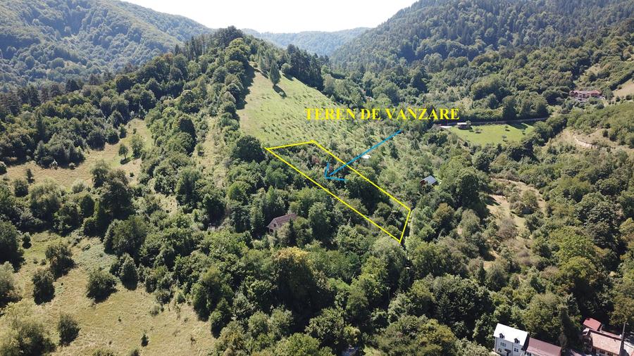 Teren in Scheii Brasovului inconjurat de natura - 7