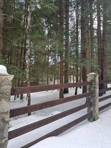 Casa vacanta Dealu Negru Cala?ele Padure - 9