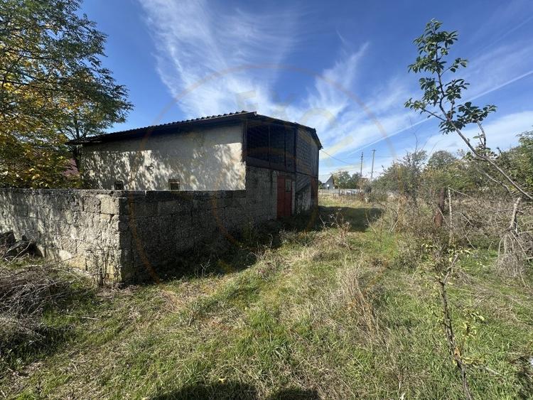 Teren 5216 mp la 2 pasi de autostrada A1 - 8