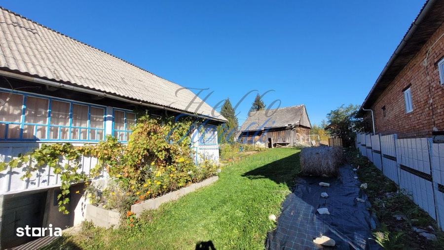 Teren intavilan, 4800 mp, front la strada, utilitati, Rasca - 9