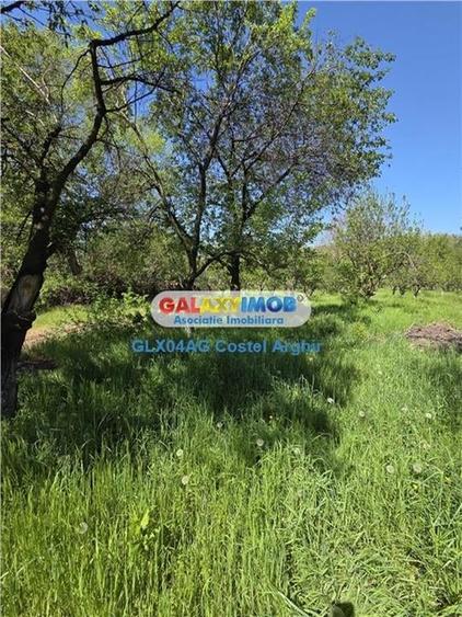 Vindem teren intravilan 3600 mp Calinesti , deschidere 58 m - 7