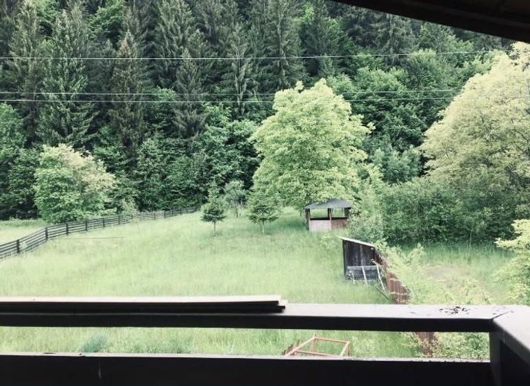 Casa si Teren 3500mp Tarcau - 7