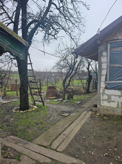 Comuna Vâlcelele - 8